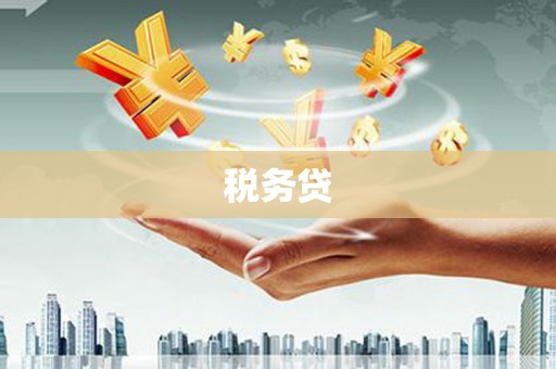 襄州税务贷