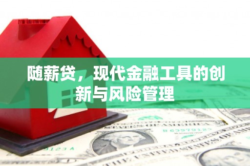 襄州随薪贷，现代金融工具的创新与风险管理