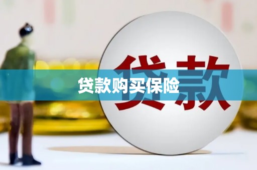 襄州贷款购买保险