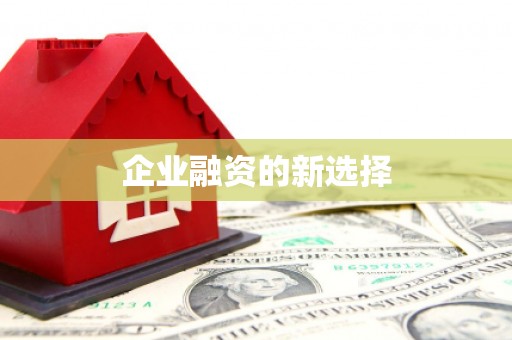 襄州企业融资的新选择