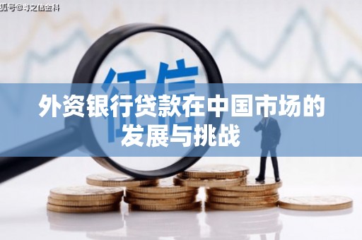 襄州外资银行贷款在中国市场的发展与挑战
