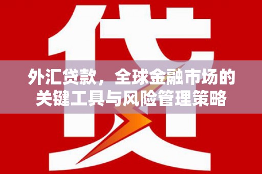 襄州外汇贷款，全球金融市场的关键工具与风险管理策略