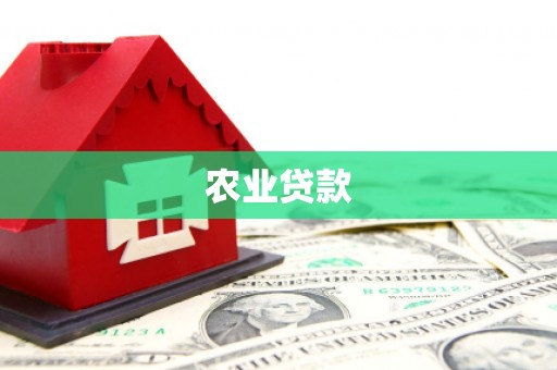 襄州农业贷款