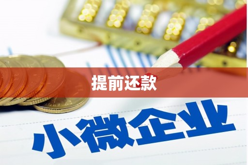 襄州提前还款