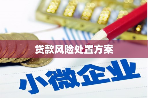 襄州贷款风险处置方案