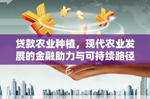 襄州贷款农业种植，现代农业发展的金融助力与可持续路径