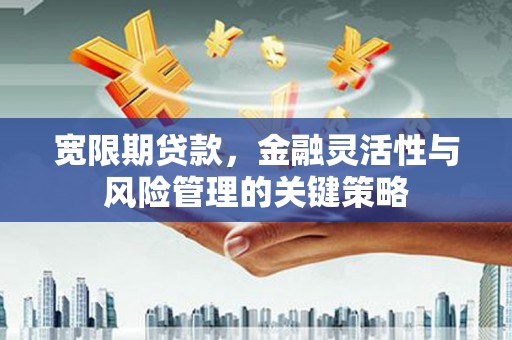 襄州宽限期贷款，金融灵活性与风险管理的关键策略