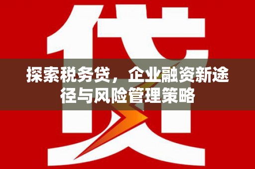 襄州探索税务贷，企业融资新途径与风险管理策略