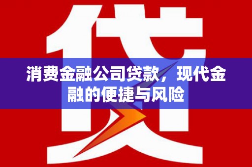 襄州消费金融公司贷款，现代金融的便捷与风险