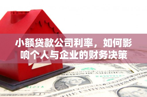 襄州小额贷款公司利率，如何影响个人与企业的财务决策
