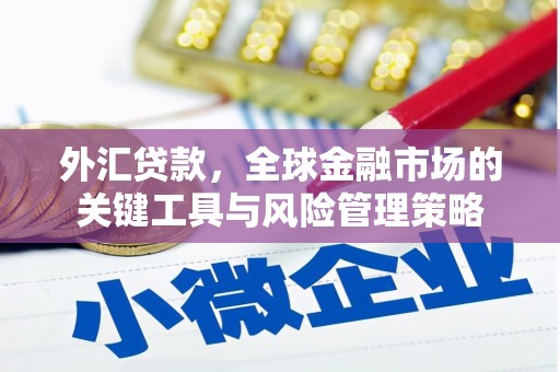 襄州外汇贷款，全球金融市场的关键工具与风险管理策略