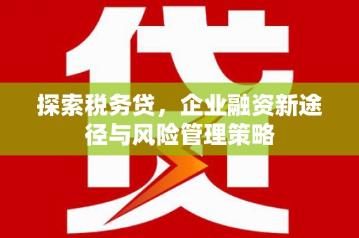 襄州探索税务贷，企业融资新途径与风险管理策略