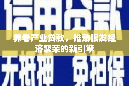 襄州养老产业贷款，推动银发经济繁荣的新引擎