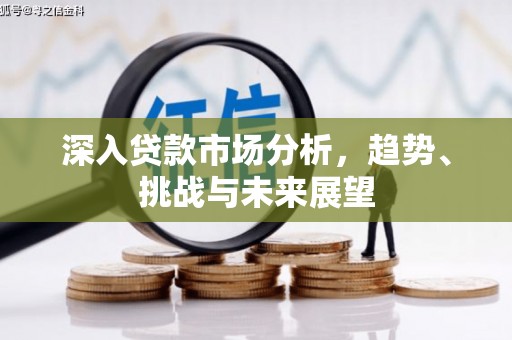 襄州深入贷款市场分析，趋势、挑战与未来展望