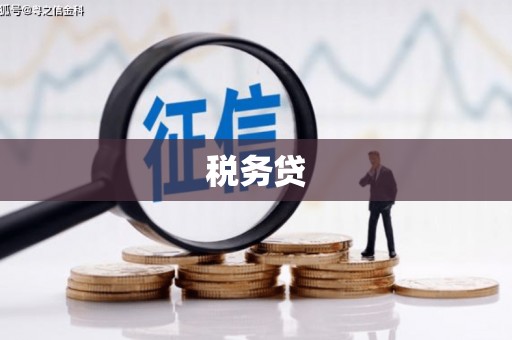襄州税务贷