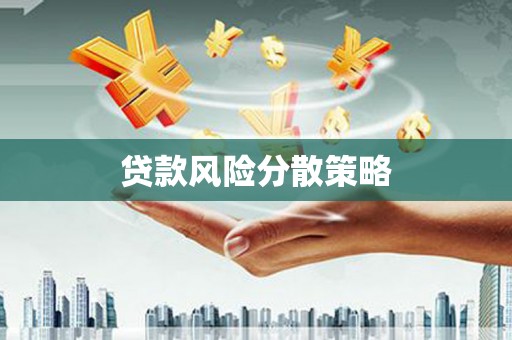 襄州贷款风险分散策略