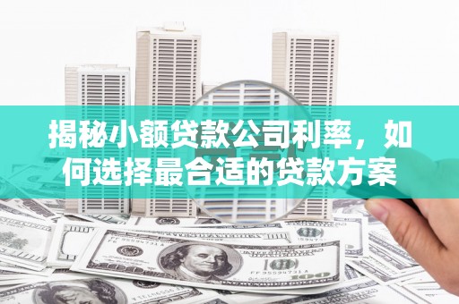 襄州揭秘小额贷款公司利率，如何选择最合适的贷款方案