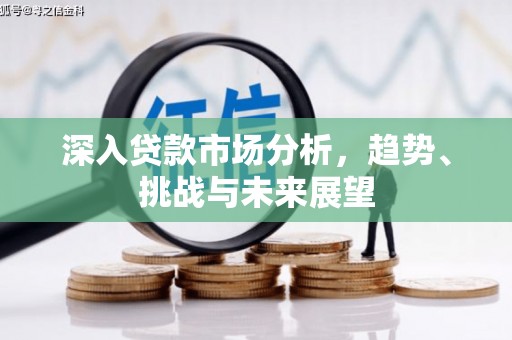 襄州深入贷款市场分析，趋势、挑战与未来展望