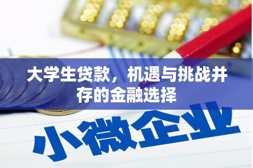襄州大学生贷款，机遇与挑战并存的金融选择