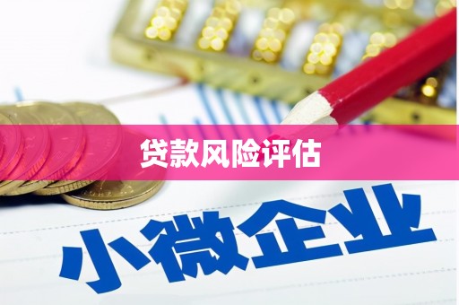 襄州贷款风险评估