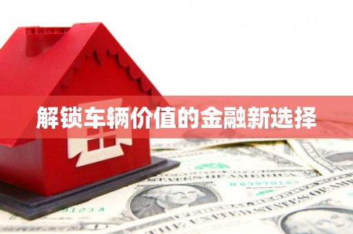 襄州解锁车辆价值的金融新选择