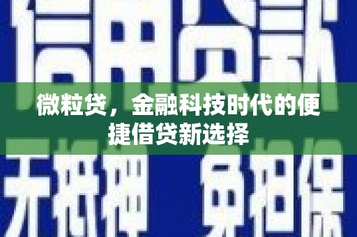 襄州微粒贷，金融科技时代的便捷借贷新选择