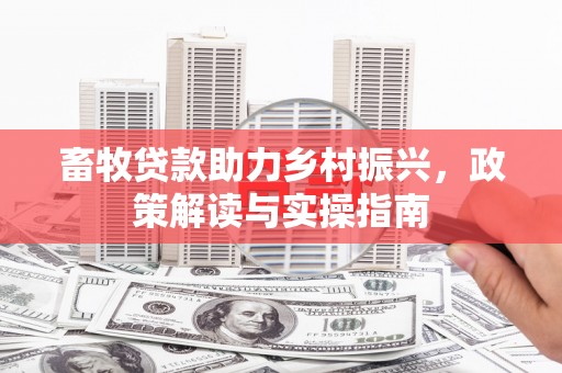 襄州畜牧贷款助力乡村振兴，政策解读与实操指南