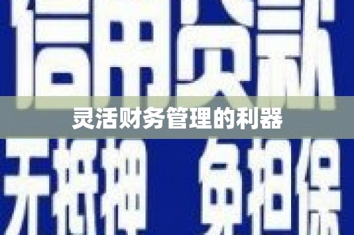 襄州灵活财务管理的利器