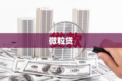 襄州微粒贷